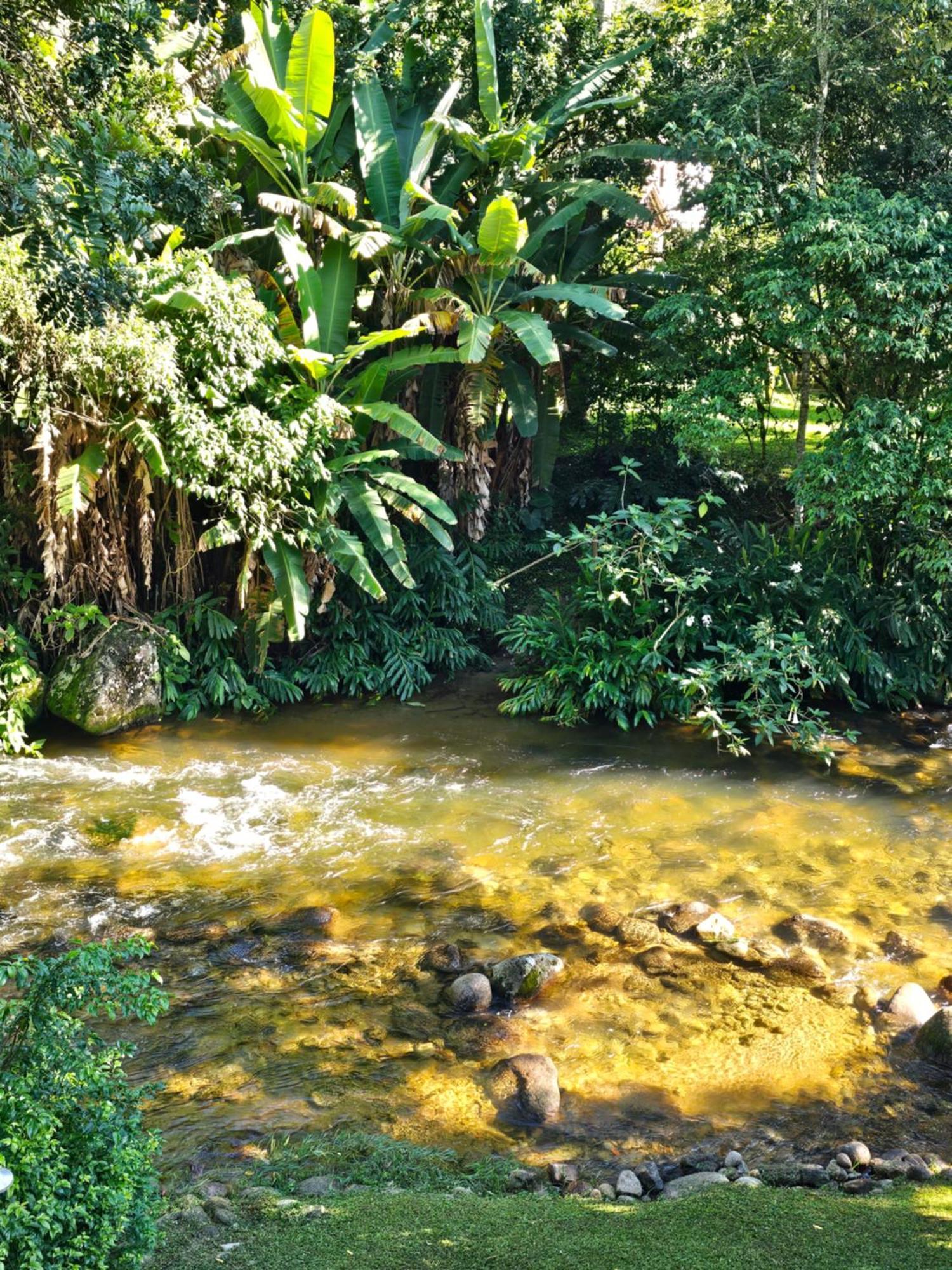 Inn Verde Novo *
