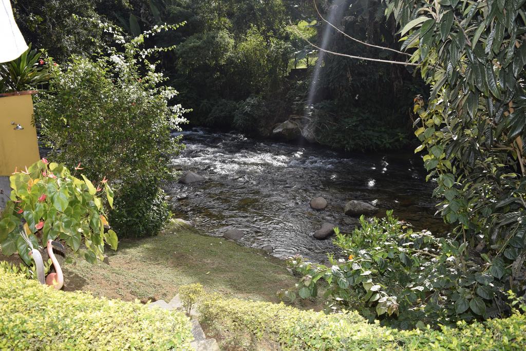 Inn Verde Novo *